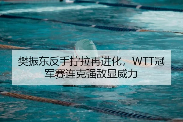 樊振东反手拧拉再进化，WTT冠军赛连克强敌显威力